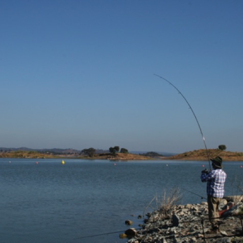 Playing a nice fish on the Alqueva dam